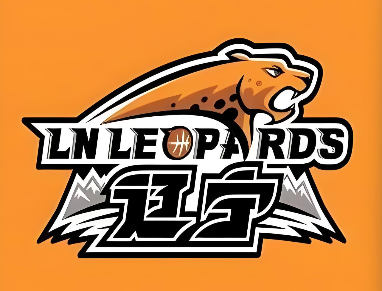 爱游戏入口-辽宁队管理层：球队没有出售的计划，目前正在寻求新的赞助商